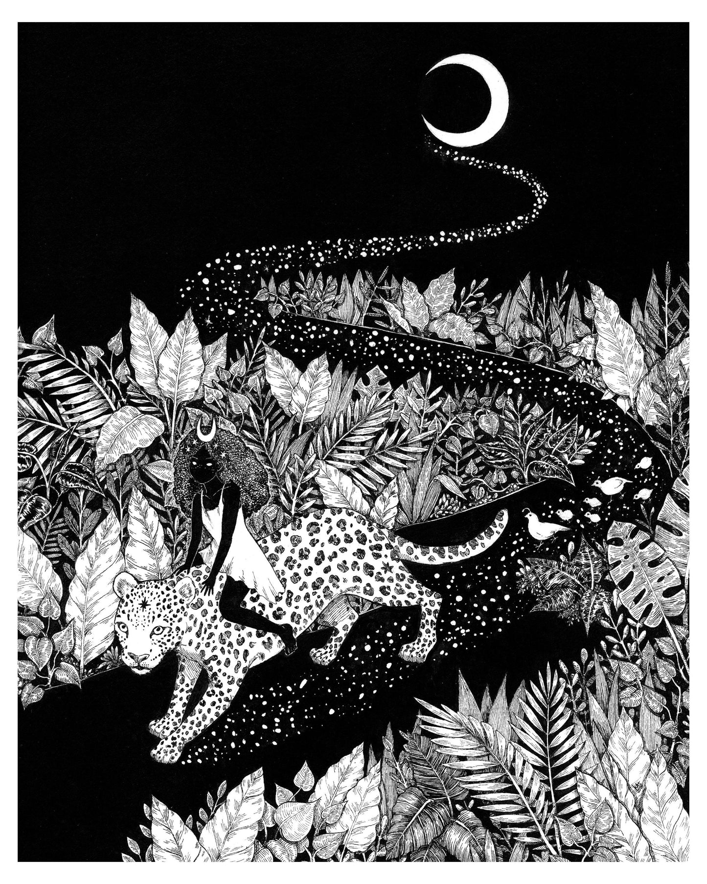 The Starlit Path - 8x10" Print