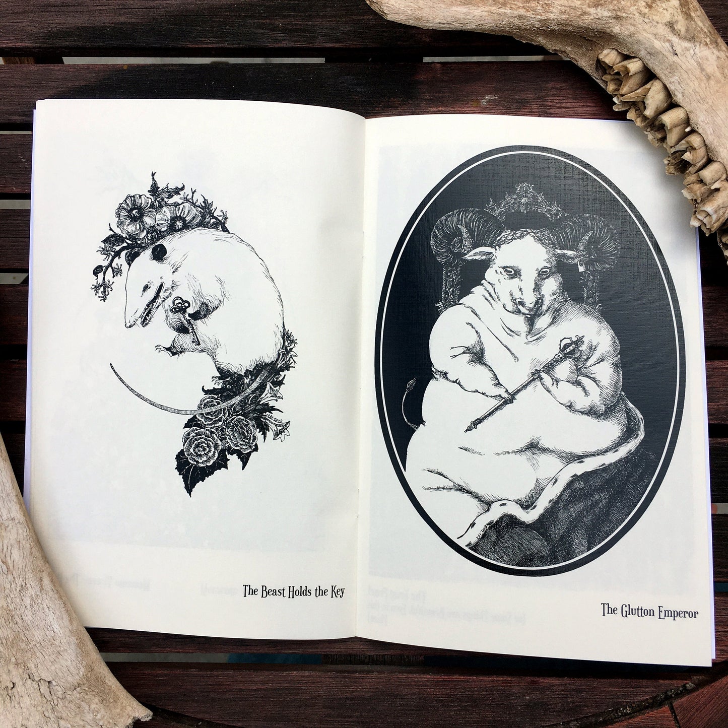 Strange Ghosts - Illustration Zine