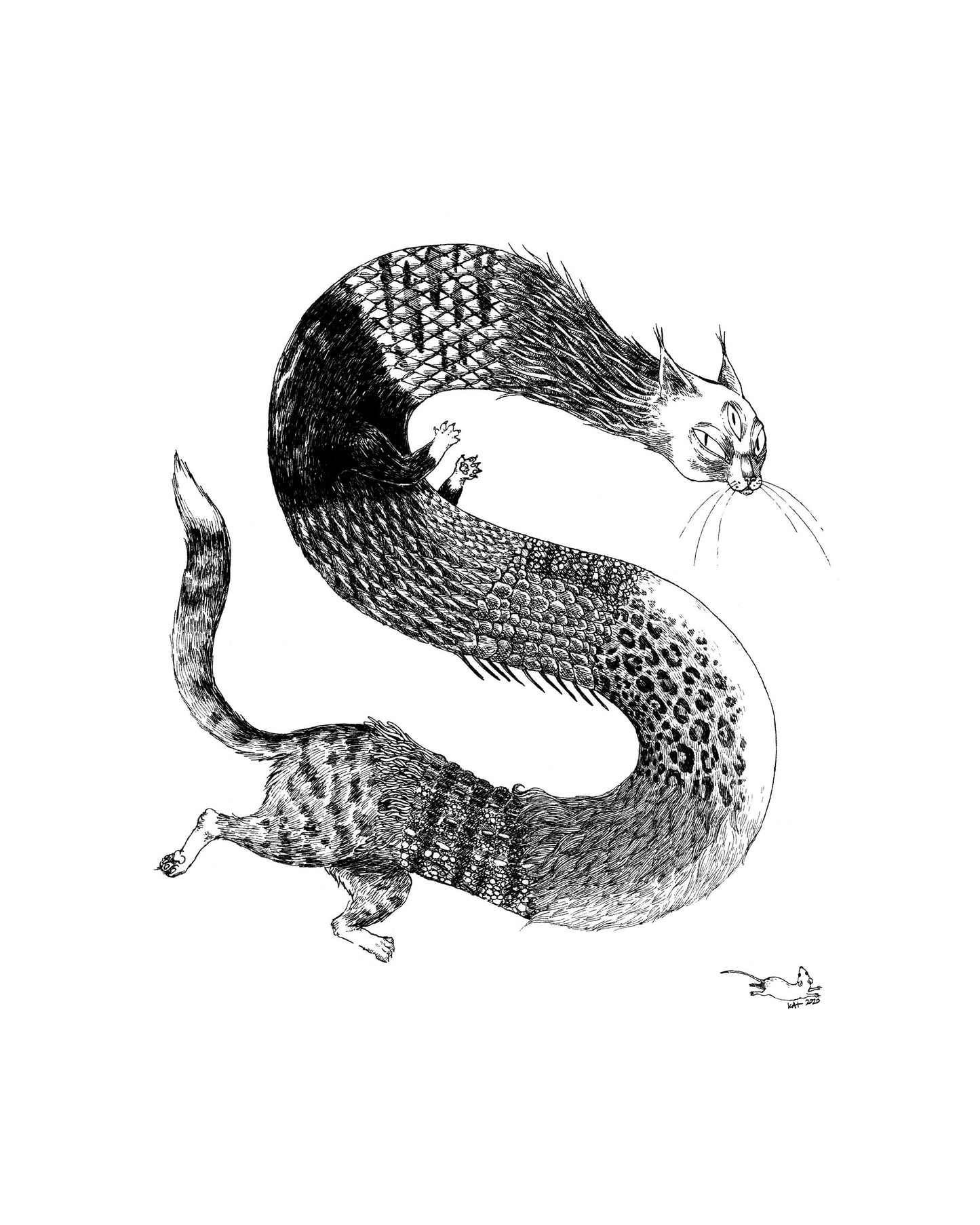 Cattywampus 8x10" Print