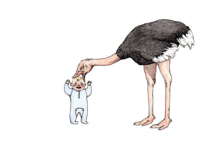 Please Do Not Feed the Birds - 5x7" Print