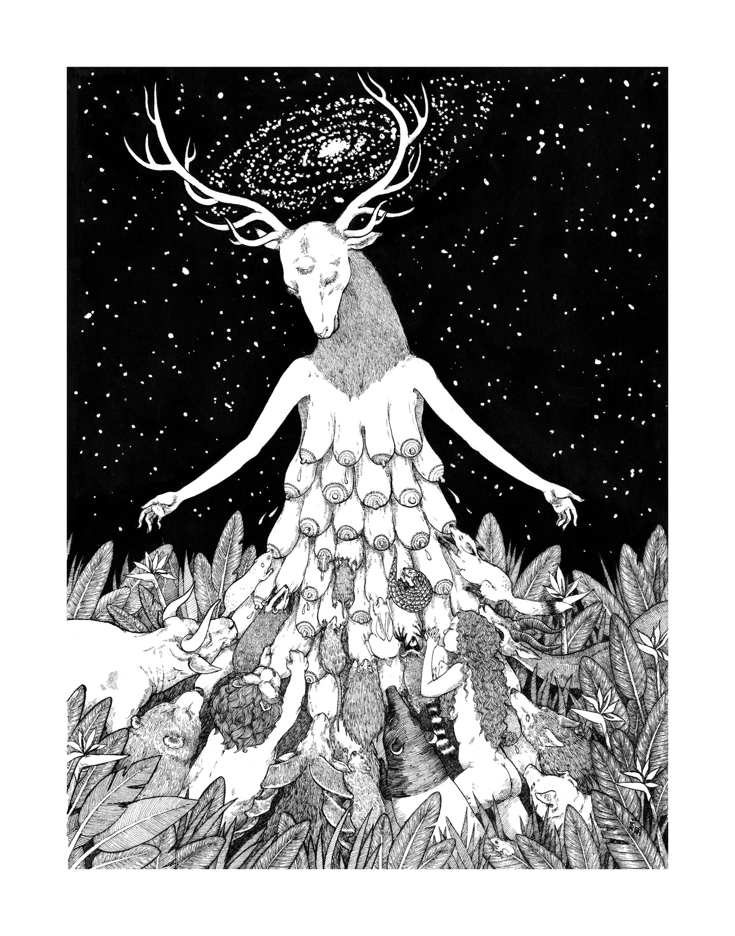 Milk from a New Mother - 11x14" Print