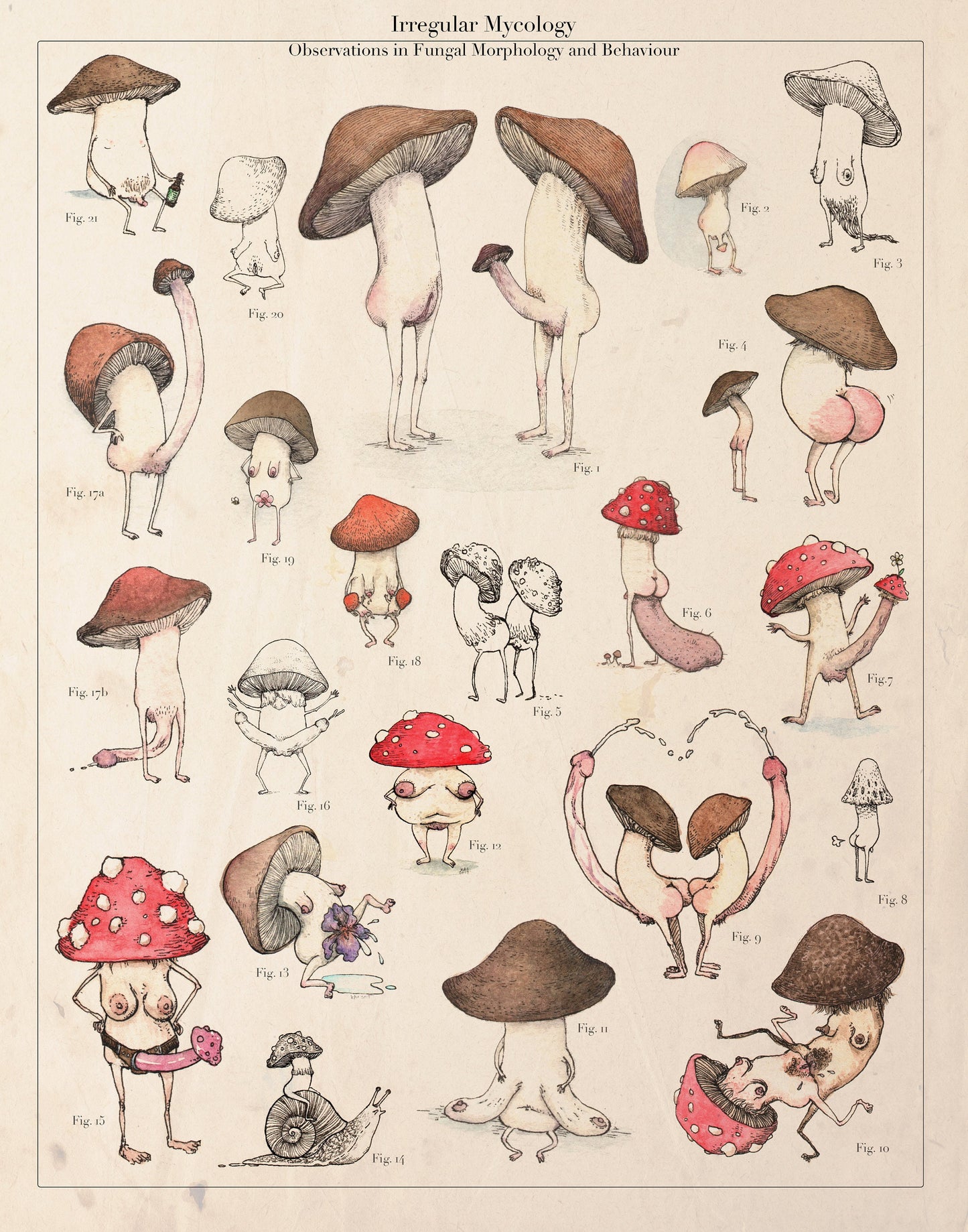 MATURE - Irregular Mycology - 11x14" Print