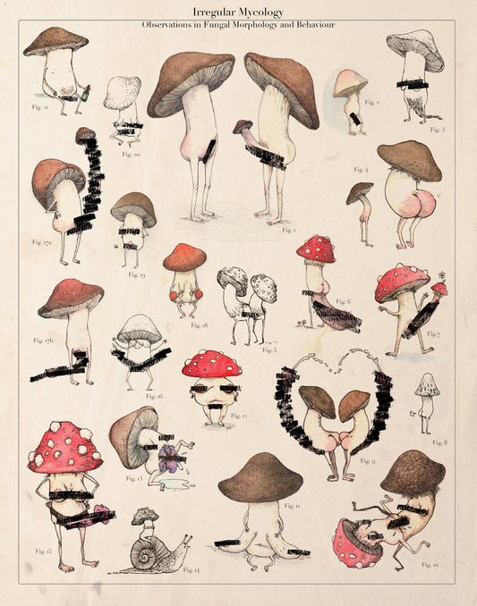 MATURE - Irregular Mycology - 11x14" Print
