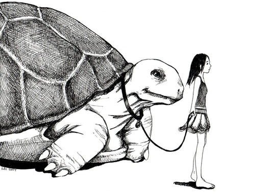 Tortoise Walk - 5x7" Print